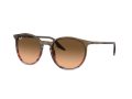Ray-Ban Aurinkolasit RB 0RB2204 13953B