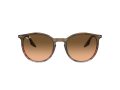 Ray-Ban Aurinkolasit RB 0RB2204 13953B