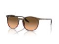 Ray-Ban Aurinkolasit RB 0RB2204 13953B
