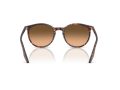 Ray-Ban Aurinkolasit RB 2204 14293B