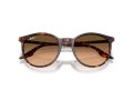 Ray-Ban Aurinkolasit RB 2204 14293B