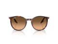 Ray-Ban Aurinkolasit RB 2204 14293B