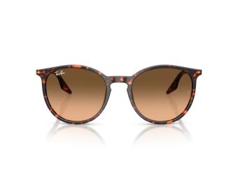 Ray-Ban Aurinkolasit RB 2204 14293B