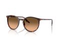 Ray-Ban Aurinkolasit RB 2204 14293B