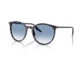 Ray-Ban Aurinkolasit RB 2204 14303F
