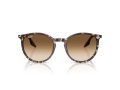 Ray-Ban Aurinkolasit RB 2204 143151