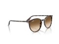 Ray-Ban Aurinkolasit RB 2204 143151