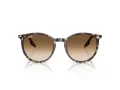 Ray-Ban Aurinkolasit RB 2204 143151