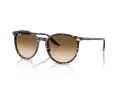 Ray-Ban Aurinkolasit RB 2204 143151