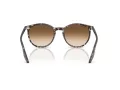 Ray-Ban Aurinkolasit RB 2204 143151