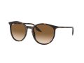 Ray-Ban Aurinkolasit RB 0RB2204 902/51