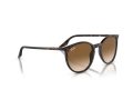 Ray-Ban Aurinkolasit RB 0RB2204 902/51