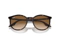 Ray-Ban Aurinkolasit RB 0RB2204 902/51