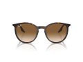 Ray-Ban Aurinkolasit RB 0RB2204 902/51