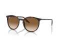 Ray-Ban Aurinkolasit RB 0RB2204 902/51