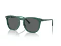Ray-Ban Aurinkolasit RB 2210 6615B1