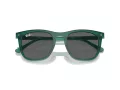 Ray-Ban Aurinkolasit RB 2210 6615B1