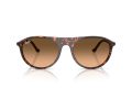 Ray-Ban Aurinkolasit RB 2215 14293B