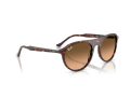 Ray-Ban Aurinkolasit RB 2215 14293B