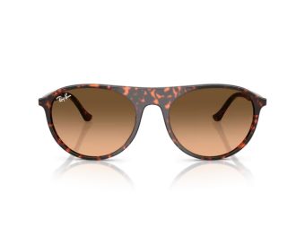 Ray-Ban Aurinkolasit RB 2215 14293B