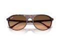 Ray-Ban Aurinkolasit RB 2215 14293B