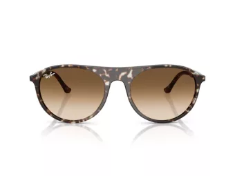 Ray-Ban Aurinkolasit RB 2215 143151