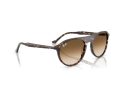 Ray-Ban Aurinkolasit RB 2215 143151