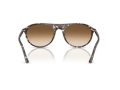 Ray-Ban Aurinkolasit RB 2215 143151
