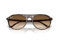 Ray-Ban Aurinkolasit RB 2215 143151