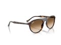 Ray-Ban Aurinkolasit RB 2215 902/51