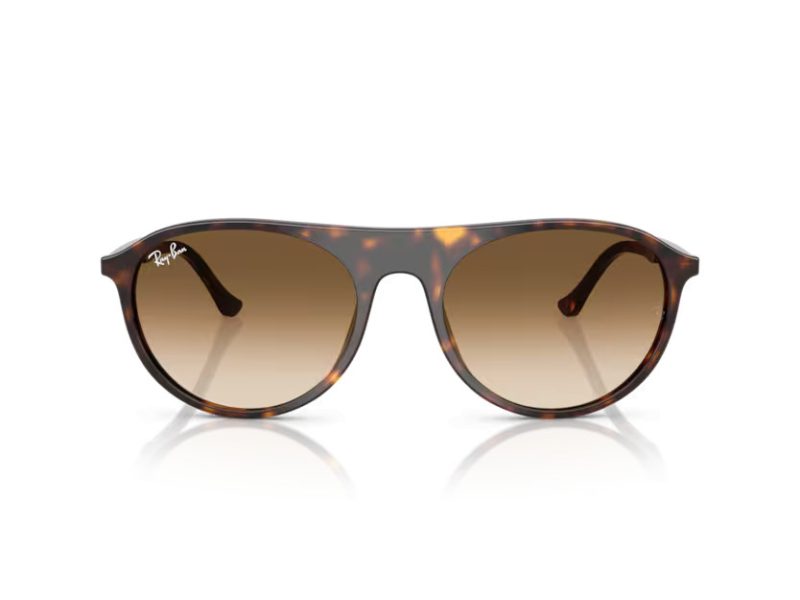 Ray-Ban Aurinkolasit RB 2215 902/51