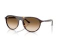 Ray-Ban Aurinkolasit RB 2215 902/51