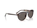 Ray-Ban Aurinkolasit RB 2215 902/B1