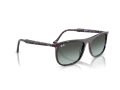 Ray-Ban Aurinkolasit RB 2216 1430GK