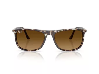 Ray-Ban Aurinkolasit RB 2216 143185