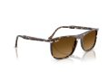 Ray-Ban Aurinkolasit RB 2216 143185
