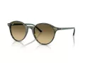 Ray-Ban Bernard Aurinkolasit RB 2230 14210A