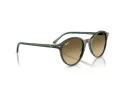 Ray-Ban Bernard Aurinkolasit RB 2230 14210A