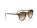 Ray-Ban Bernard Aurinkolasit RB 2230 902/51