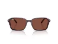 Ray-Ban Raimond Aurinkolasit RB 2231 1416C5