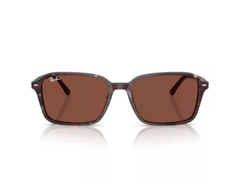 Ray-Ban Raimond Aurinkolasit RB 2231 1416C5