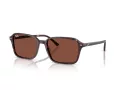 Ray-Ban Raimond Aurinkolasit RB 2231 1416C5