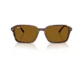 Ray-Ban Raimond Aurinkolasit RB 2231 141833
