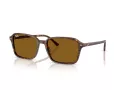 Ray-Ban Raimond Aurinkolasit RB 2231 141833