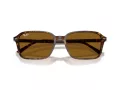 Ray-Ban Raimond Aurinkolasit RB 2231 141833
