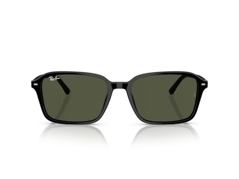 Ray-Ban Raimond Aurinkolasit RB 2231 901/31
