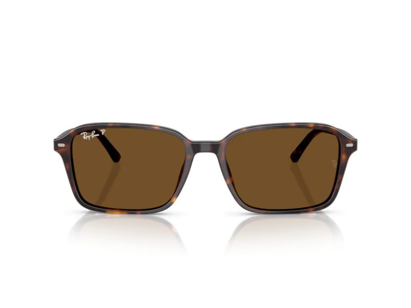 Ray-Ban Raimond Aurinkolasit RB 2231 902/57