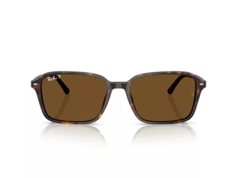 Ray-Ban Raimond Aurinkolasit RB 2231 902/57