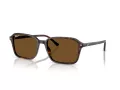 Ray-Ban Raimond Aurinkolasit RB 2231 902/57