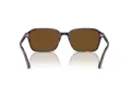 Ray-Ban Raimond Aurinkolasit RB 2231 902/57